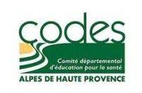 CODES 04